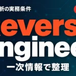 Reverse Engineer Anything（REA）6.5.0｜AI逆解析の実務条件